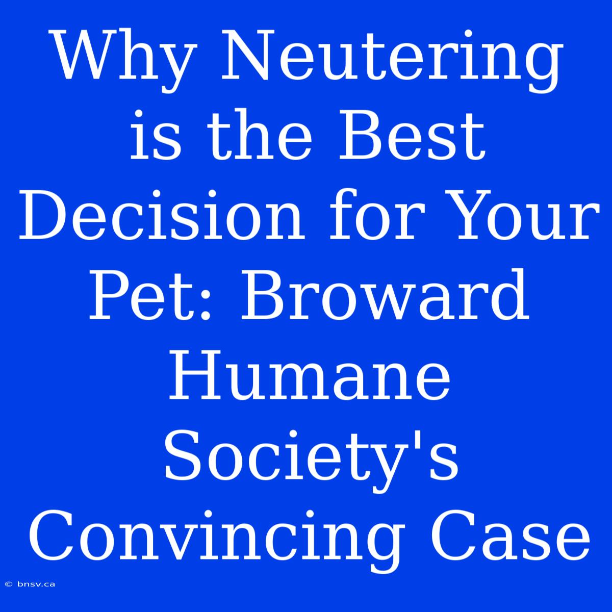 Why Neutering Is The Best Decision For Your Pet: Broward Humane Society's Convincing Case