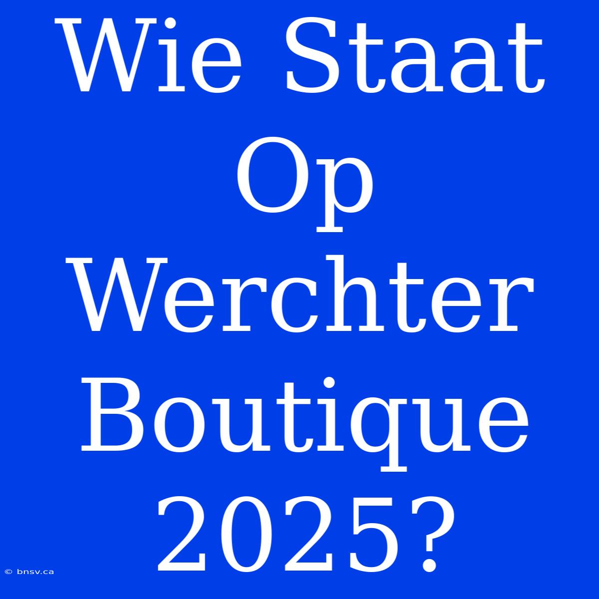 Wie Staat Op Werchter Boutique 2025?