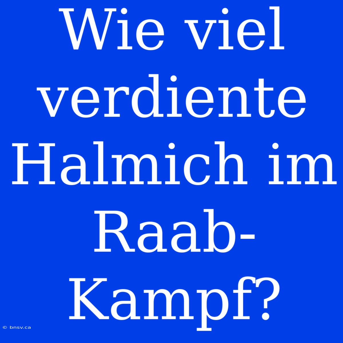 Wie Viel Verdiente Halmich Im Raab-Kampf?