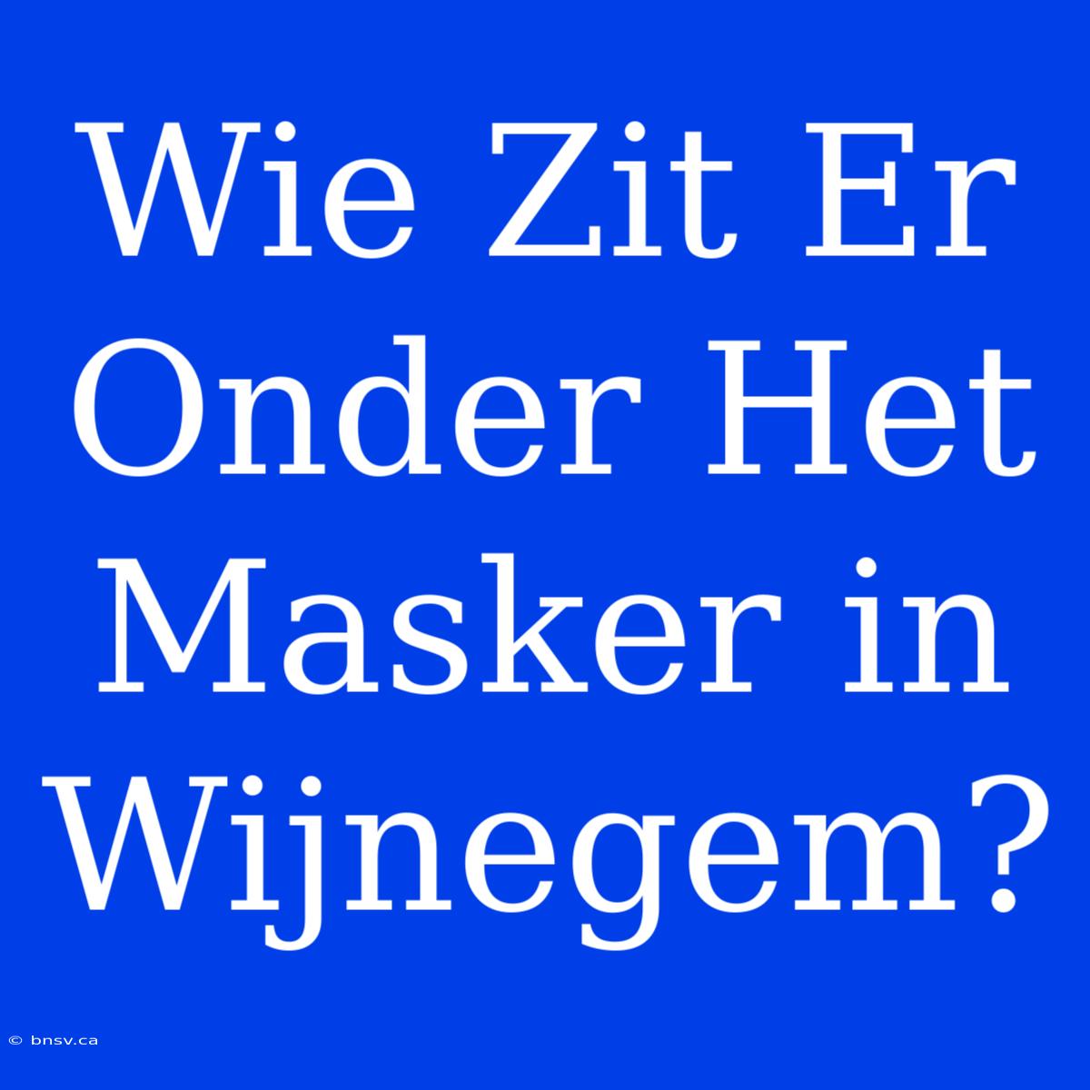 Wie Zit Er Onder Het Masker In Wijnegem?