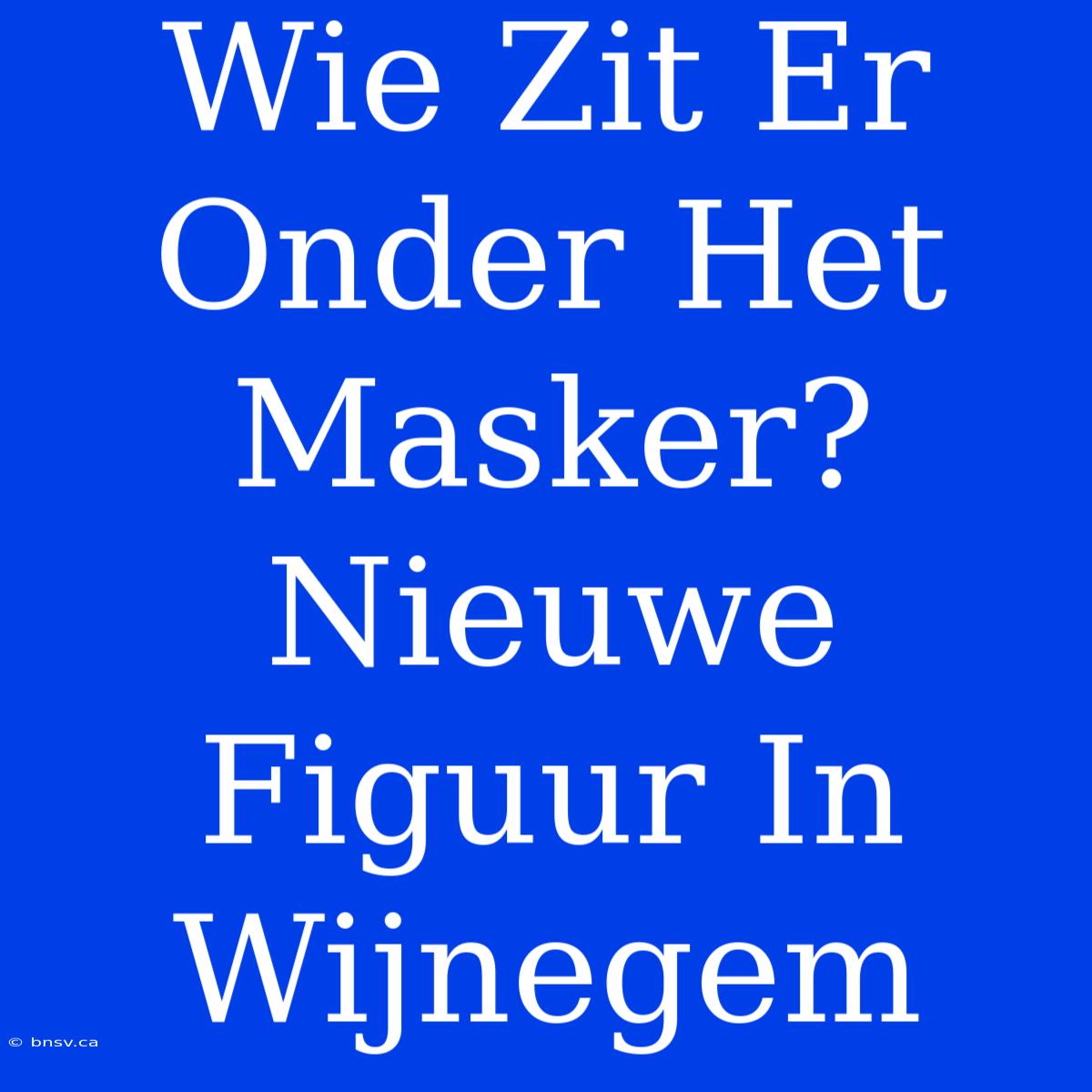 Wie Zit Er Onder Het Masker? Nieuwe Figuur In Wijnegem