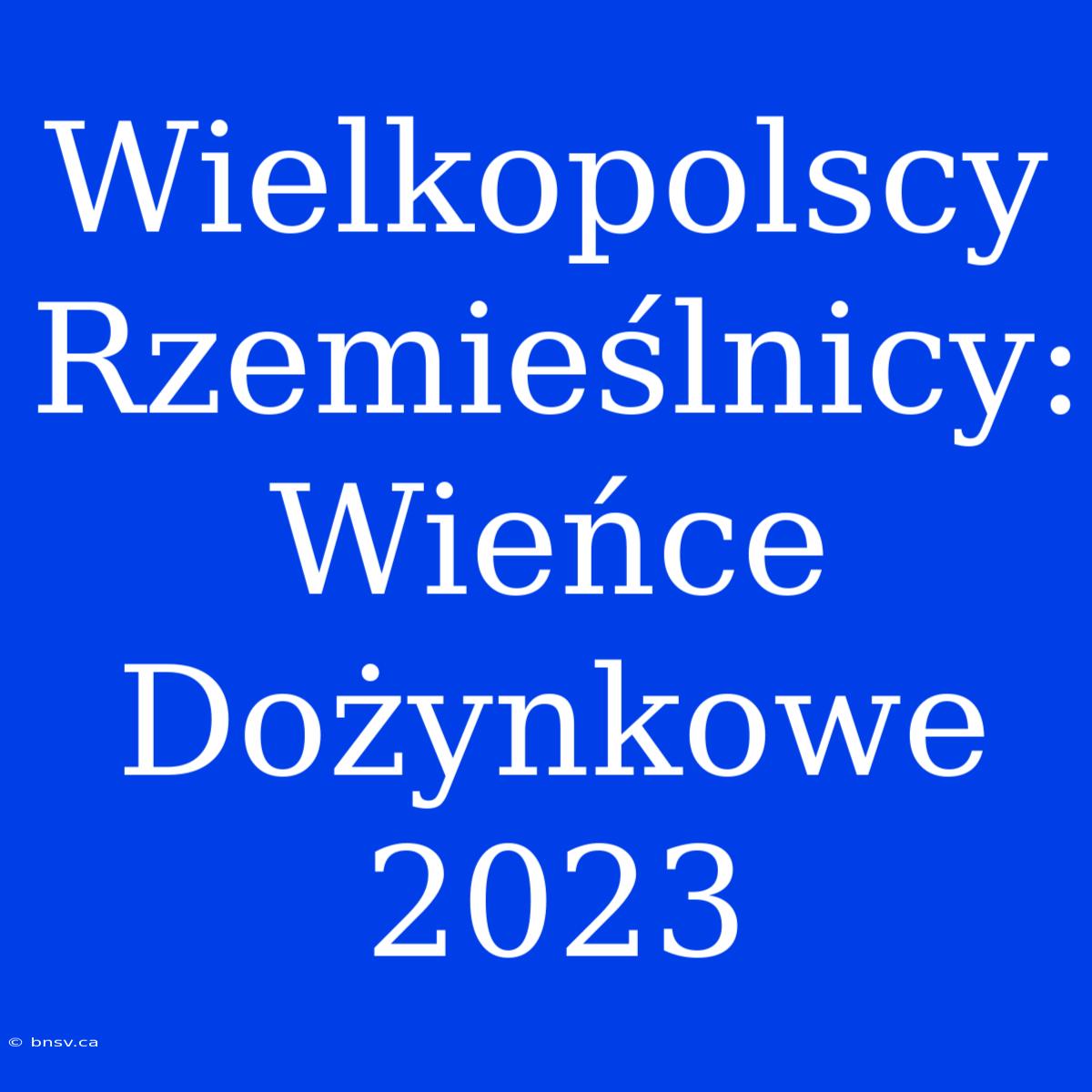 Wielkopolscy Rzemieślnicy: Wieńce Dożynkowe 2023