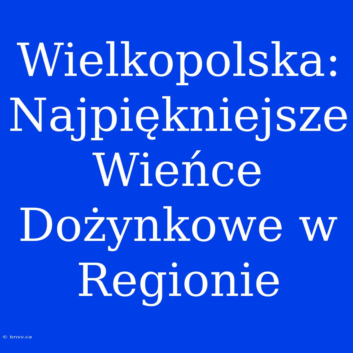 Wielkopolska: Najpiękniejsze Wieńce Dożynkowe W Regionie