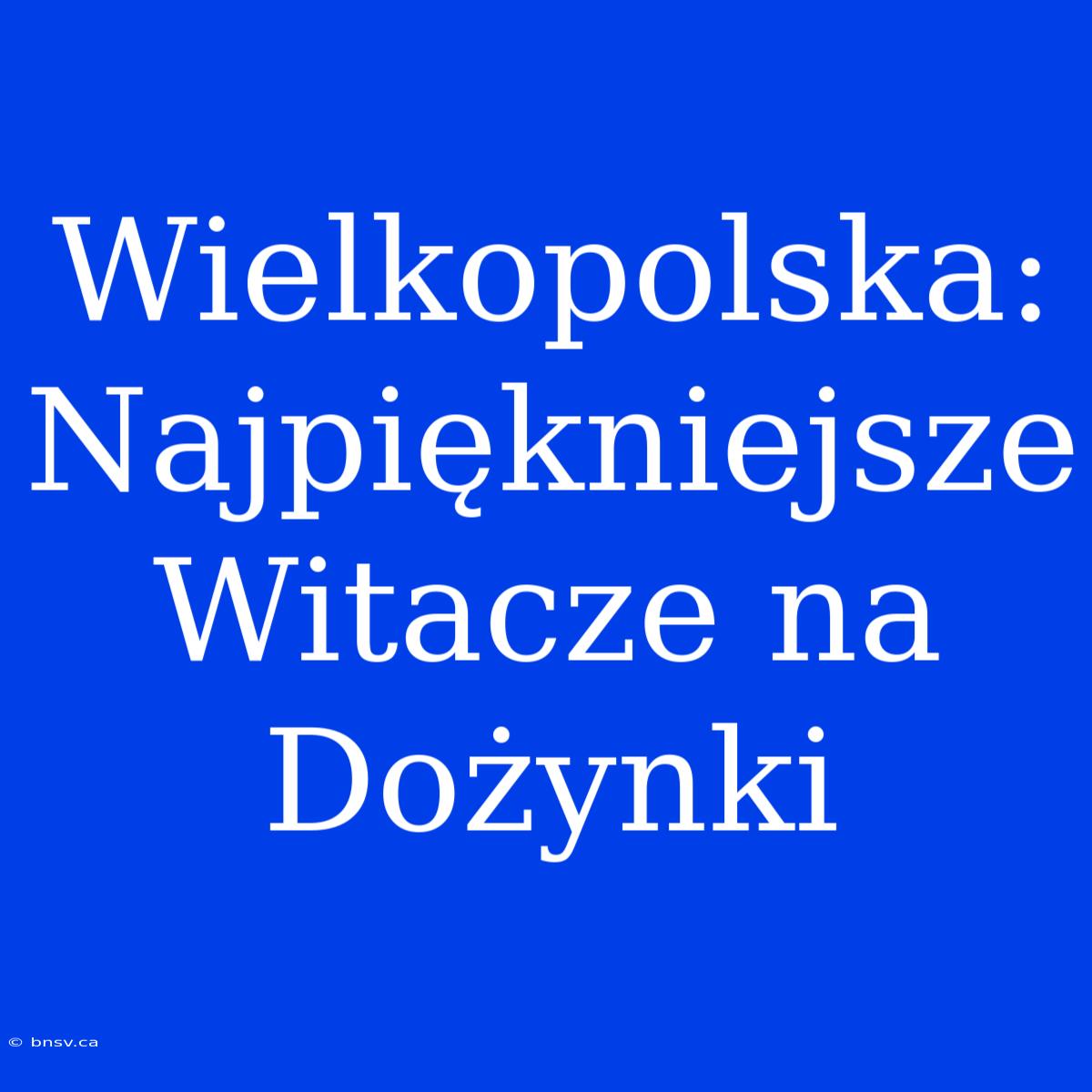 Wielkopolska: Najpiękniejsze Witacze Na Dożynki