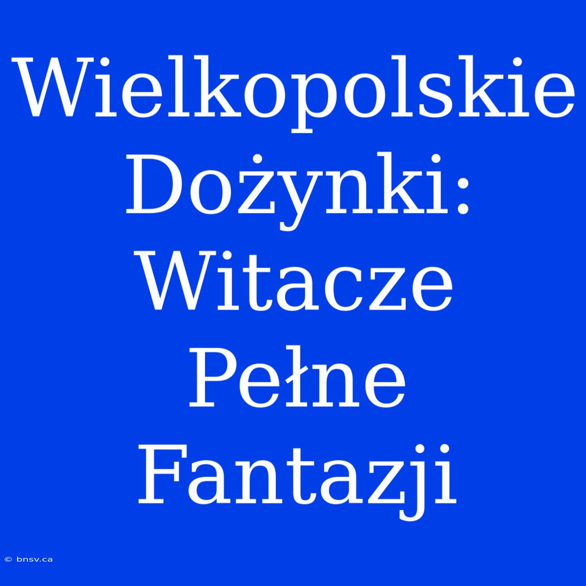 Wielkopolskie Dożynki: Witacze Pełne Fantazji