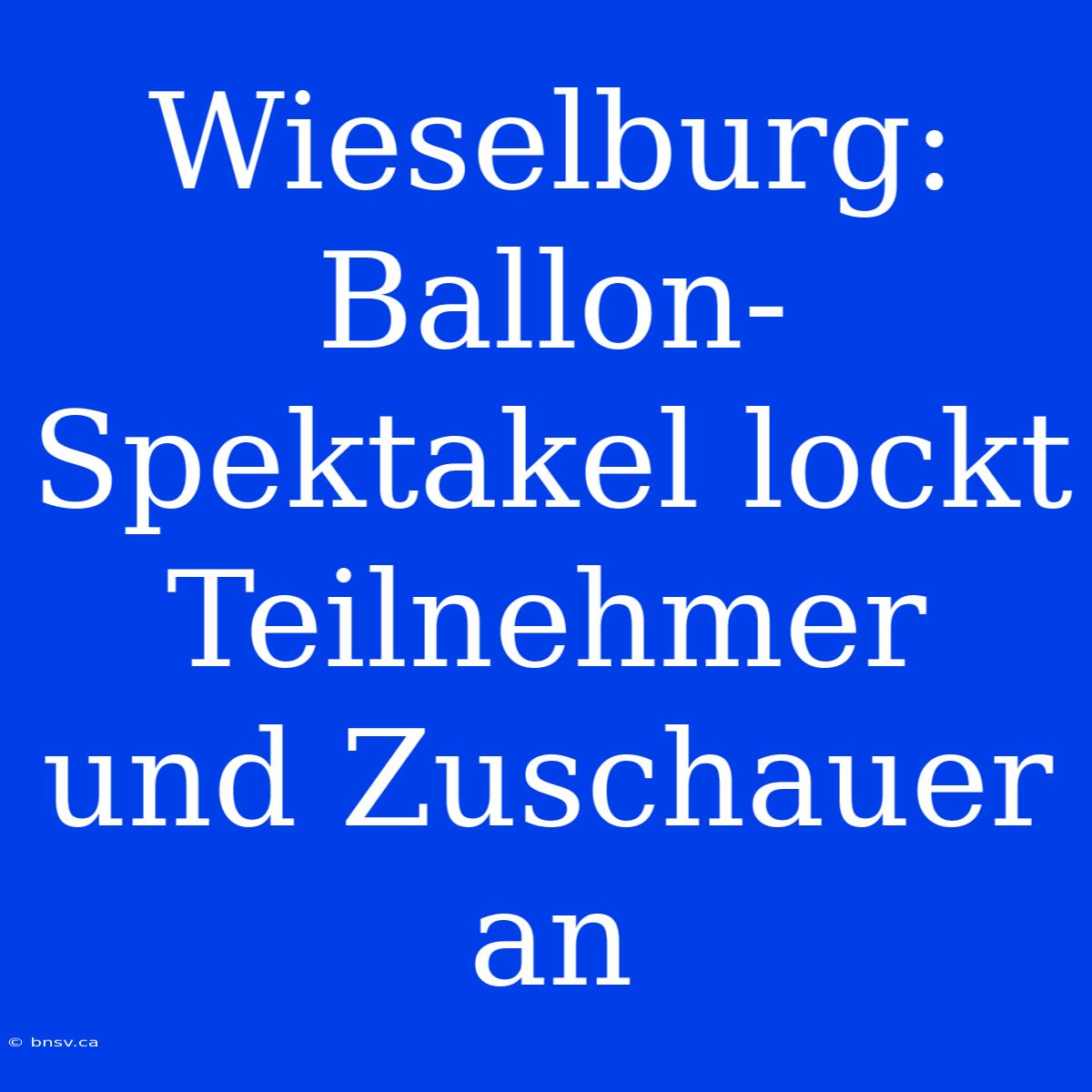 Wieselburg: Ballon-Spektakel Lockt Teilnehmer Und Zuschauer An