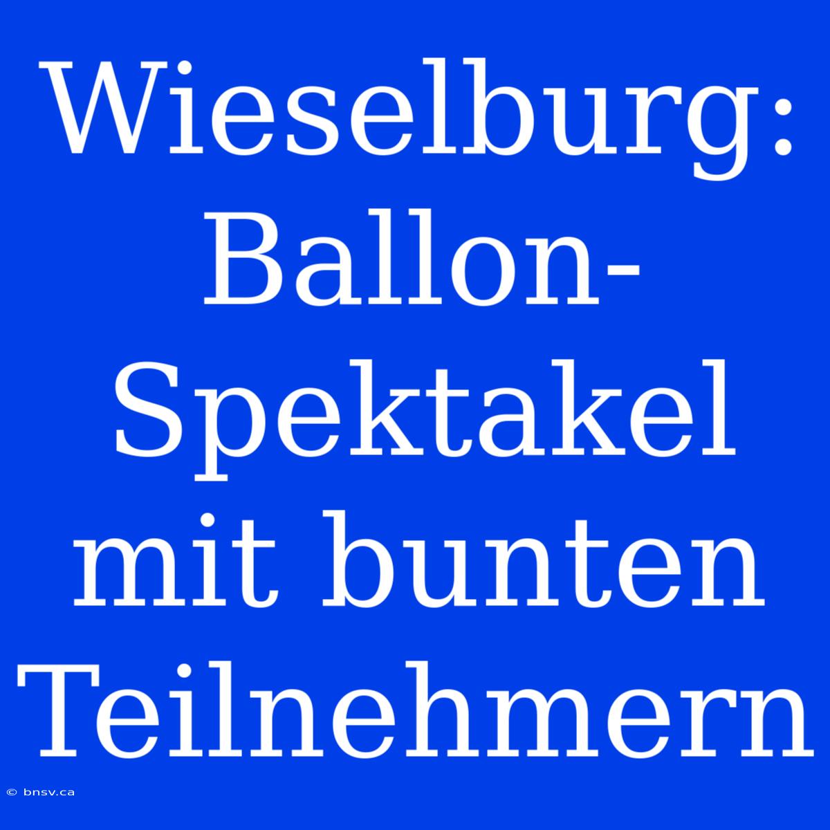 Wieselburg: Ballon-Spektakel Mit Bunten Teilnehmern