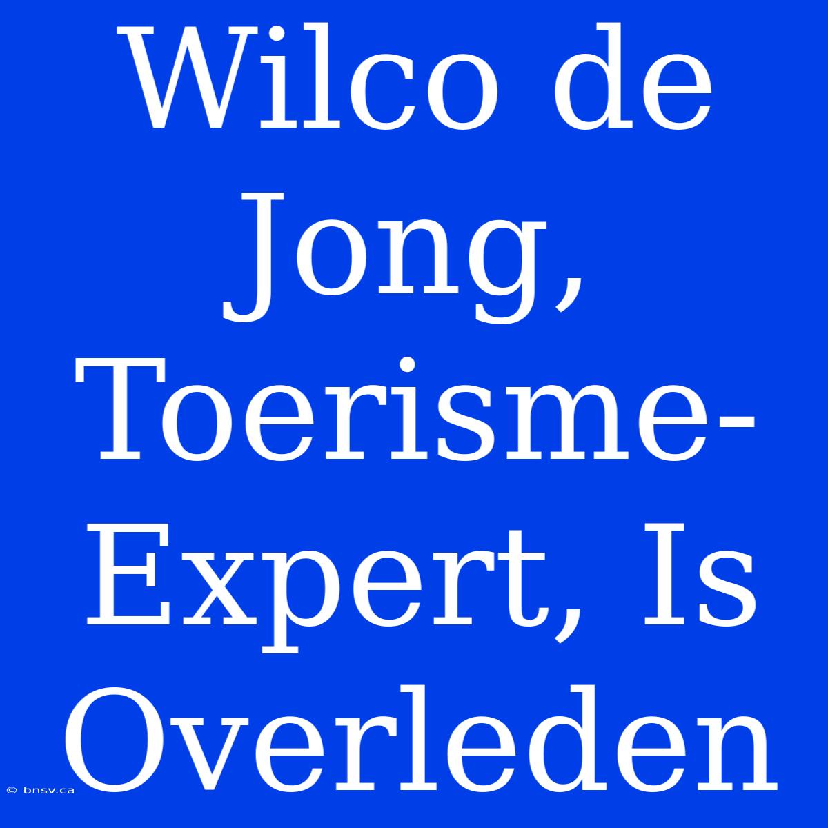 Wilco De Jong, Toerisme-Expert, Is Overleden