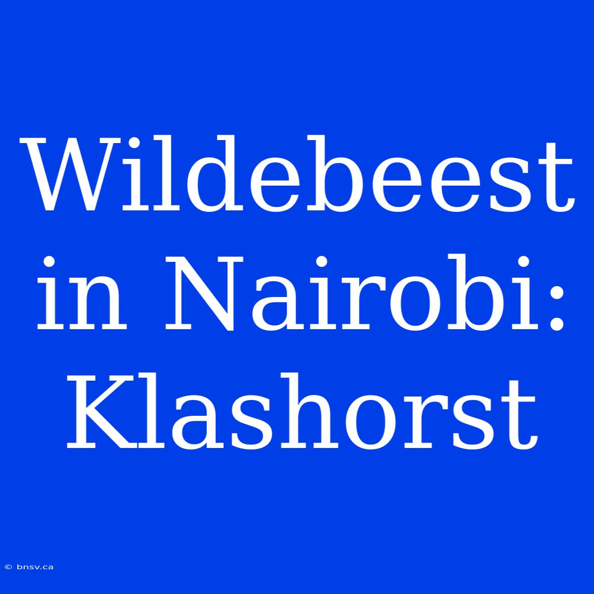 Wildebeest In Nairobi: Klashorst