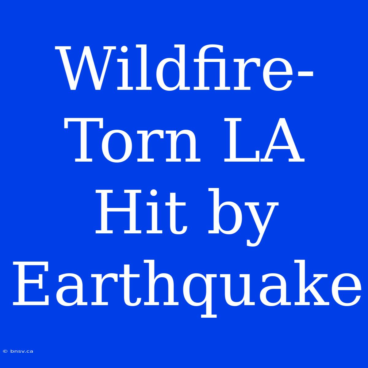 Wildfire-Torn LA Hit By Earthquake