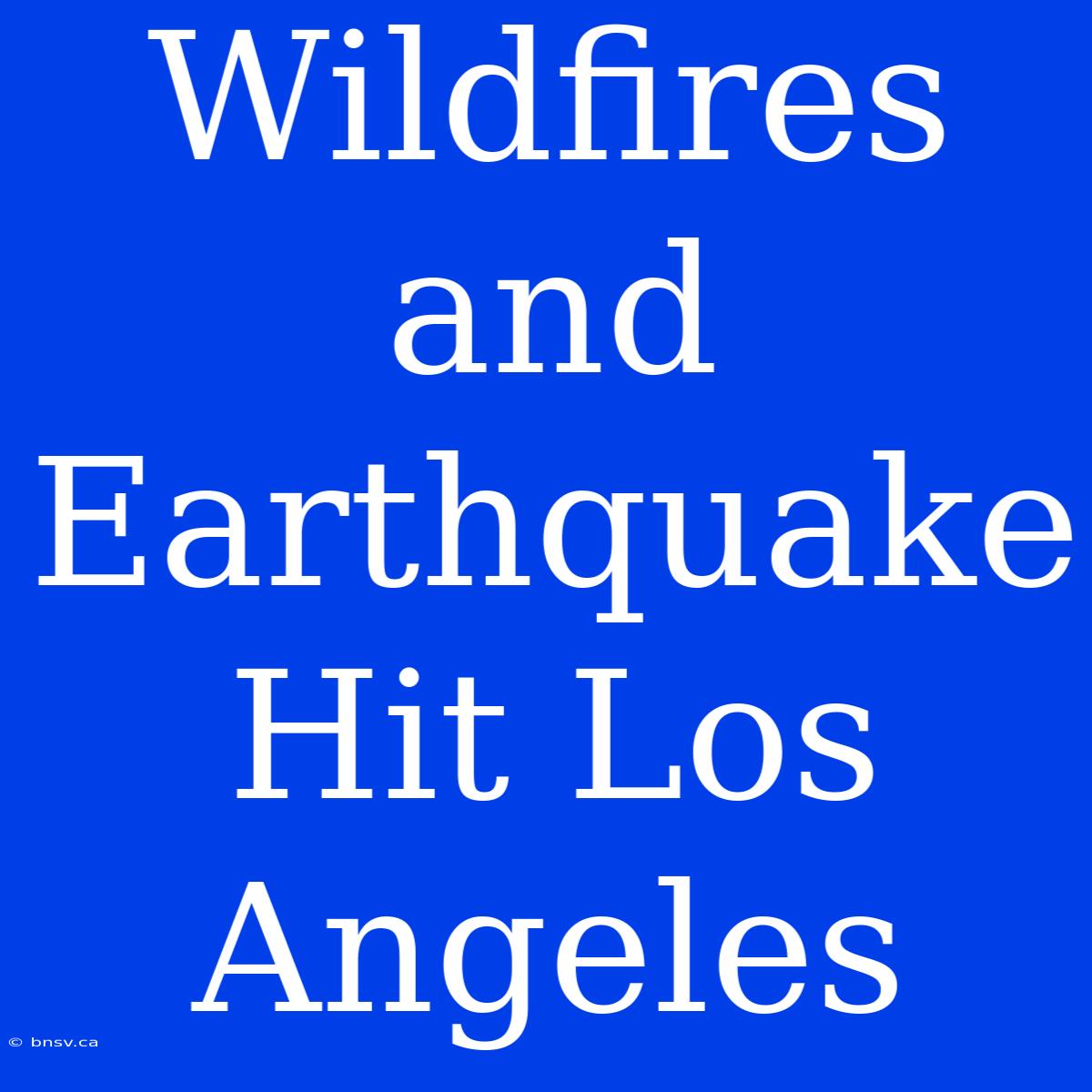 Wildfires And Earthquake Hit Los Angeles