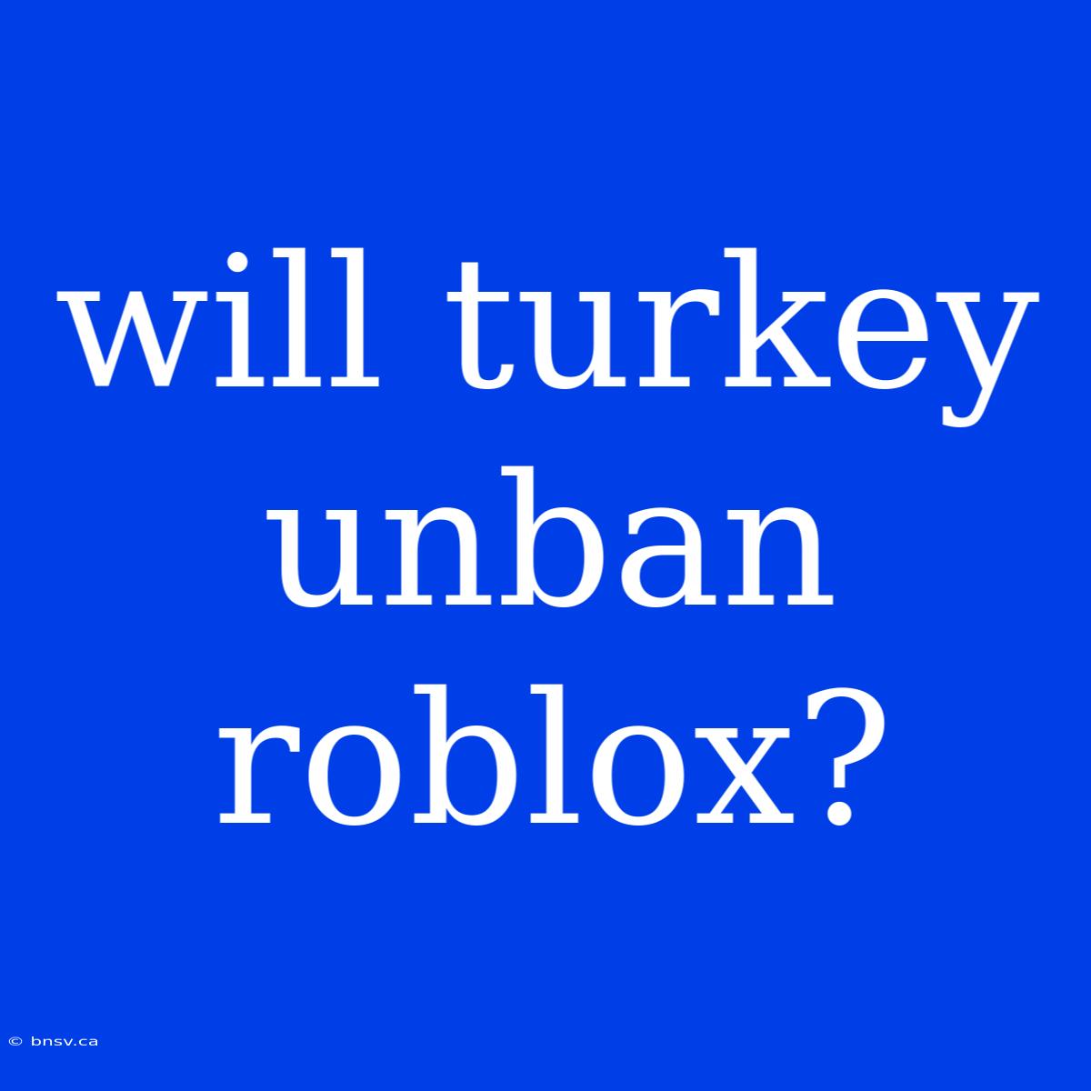 Will Turkey Unban Roblox?