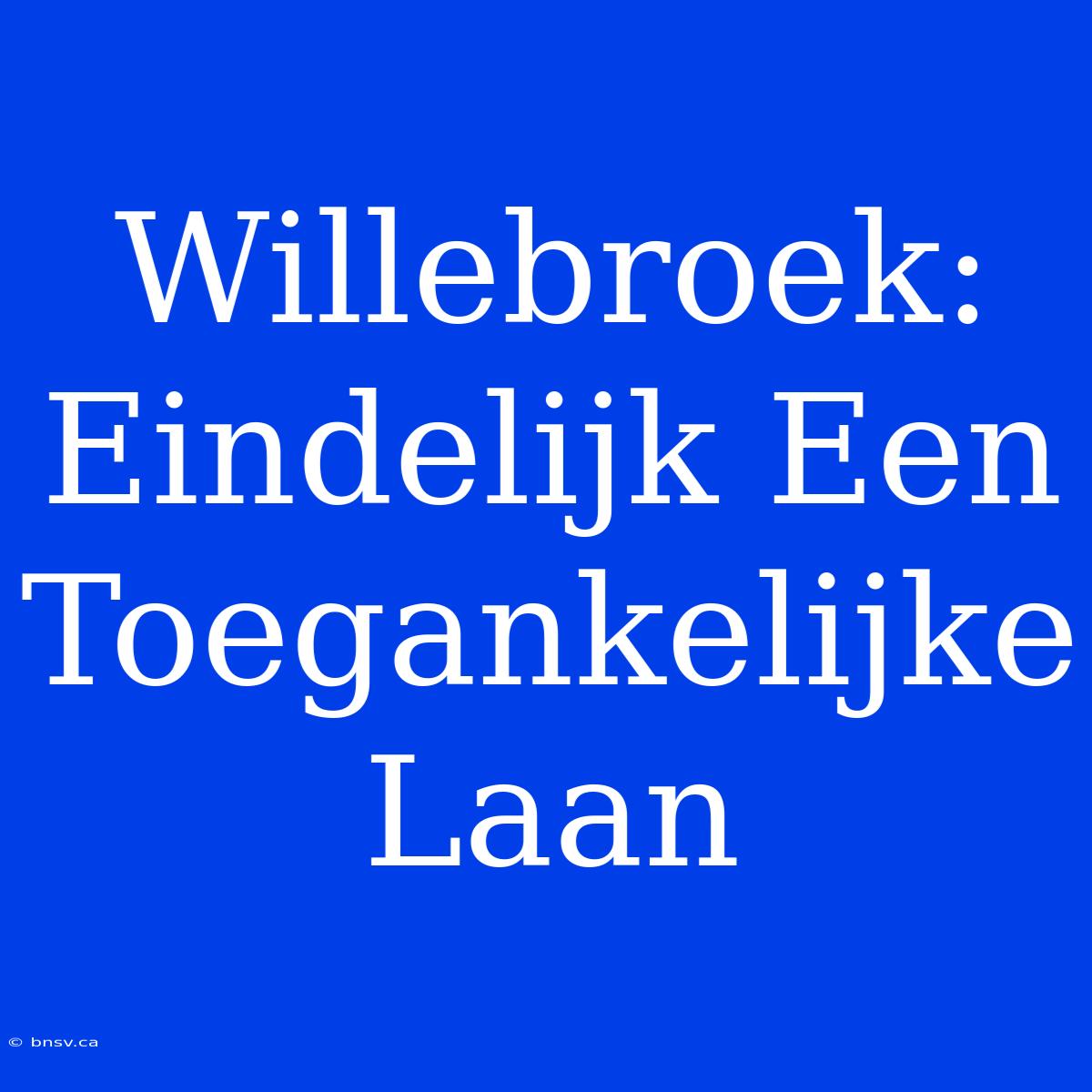 Willebroek: Eindelijk Een Toegankelijke Laan