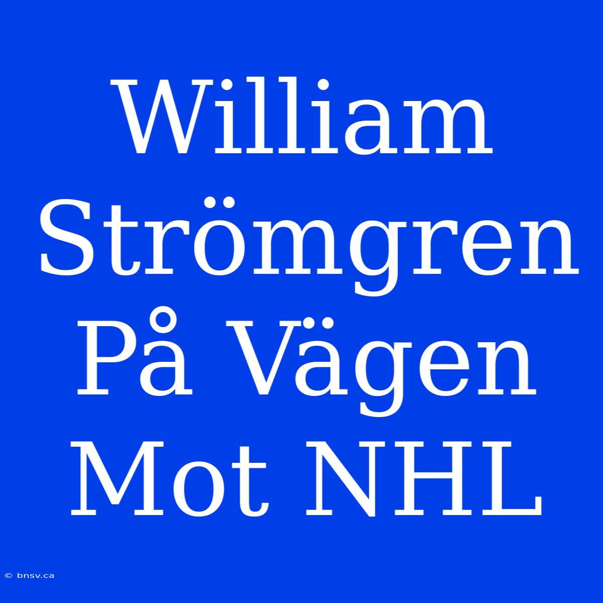 William Strömgren På Vägen Mot NHL