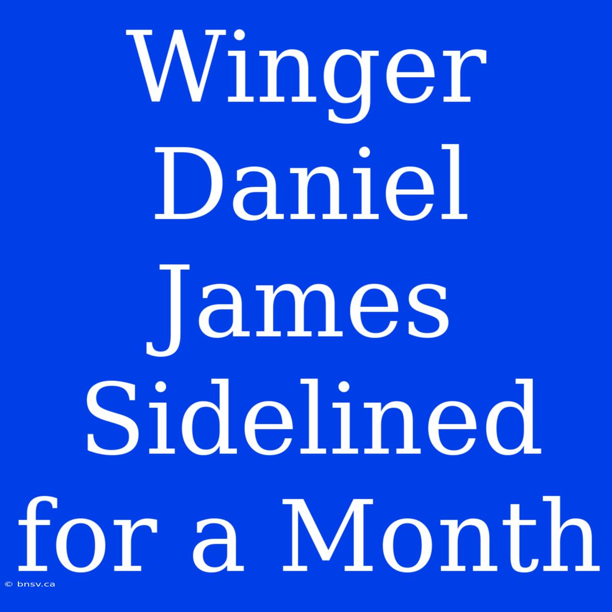 Winger Daniel James Sidelined For A Month