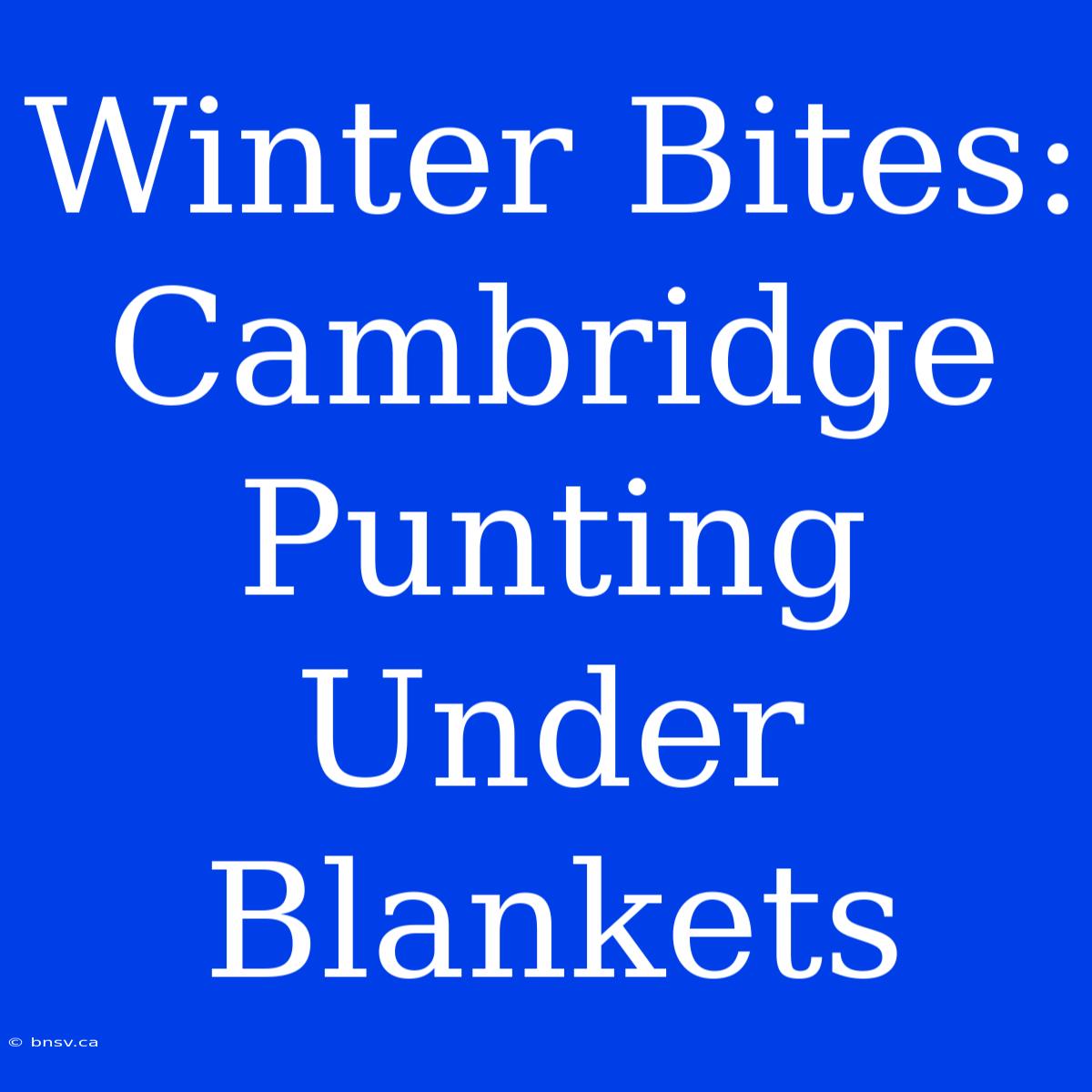 Winter Bites: Cambridge Punting Under Blankets