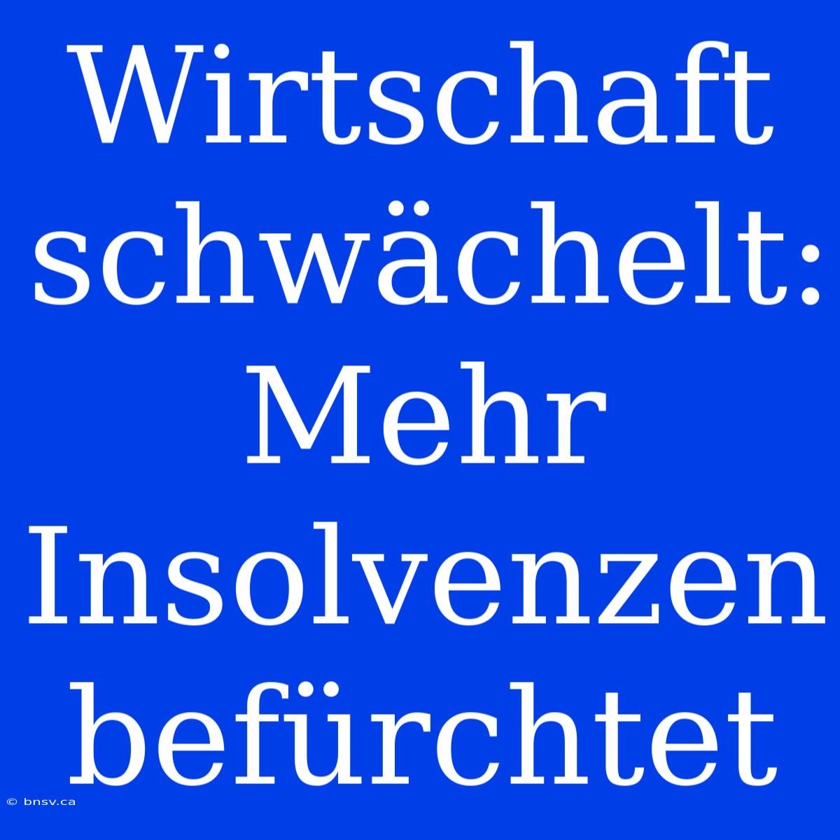 Wirtschaft Schwächelt:  Mehr Insolvenzen Befürchtet