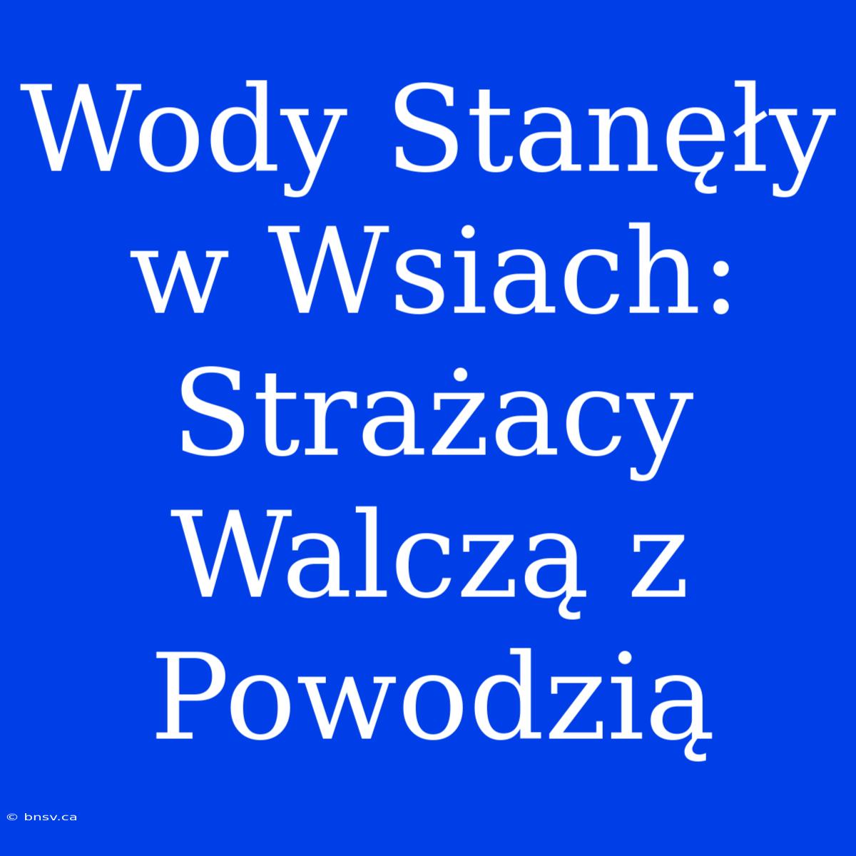 Wody Stanęły W Wsiach: Strażacy Walczą Z Powodzią