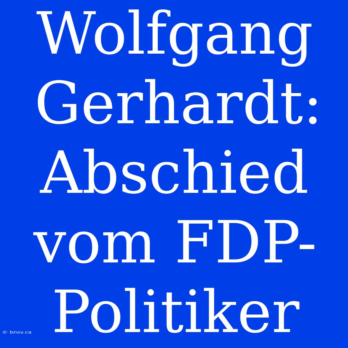 Wolfgang Gerhardt: Abschied Vom FDP-Politiker