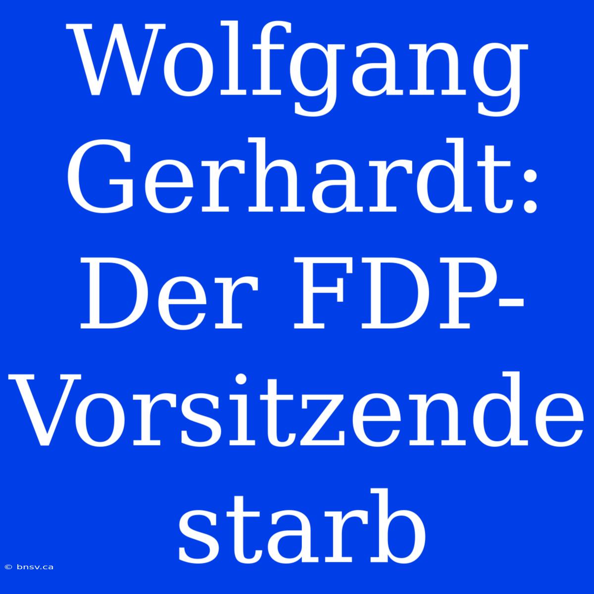 Wolfgang Gerhardt: Der FDP-Vorsitzende Starb