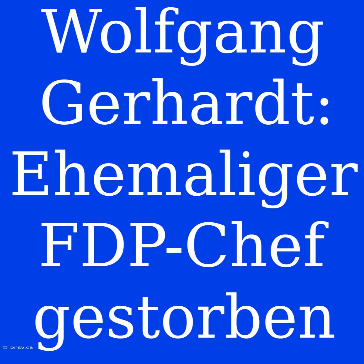 Wolfgang Gerhardt: Ehemaliger FDP-Chef Gestorben