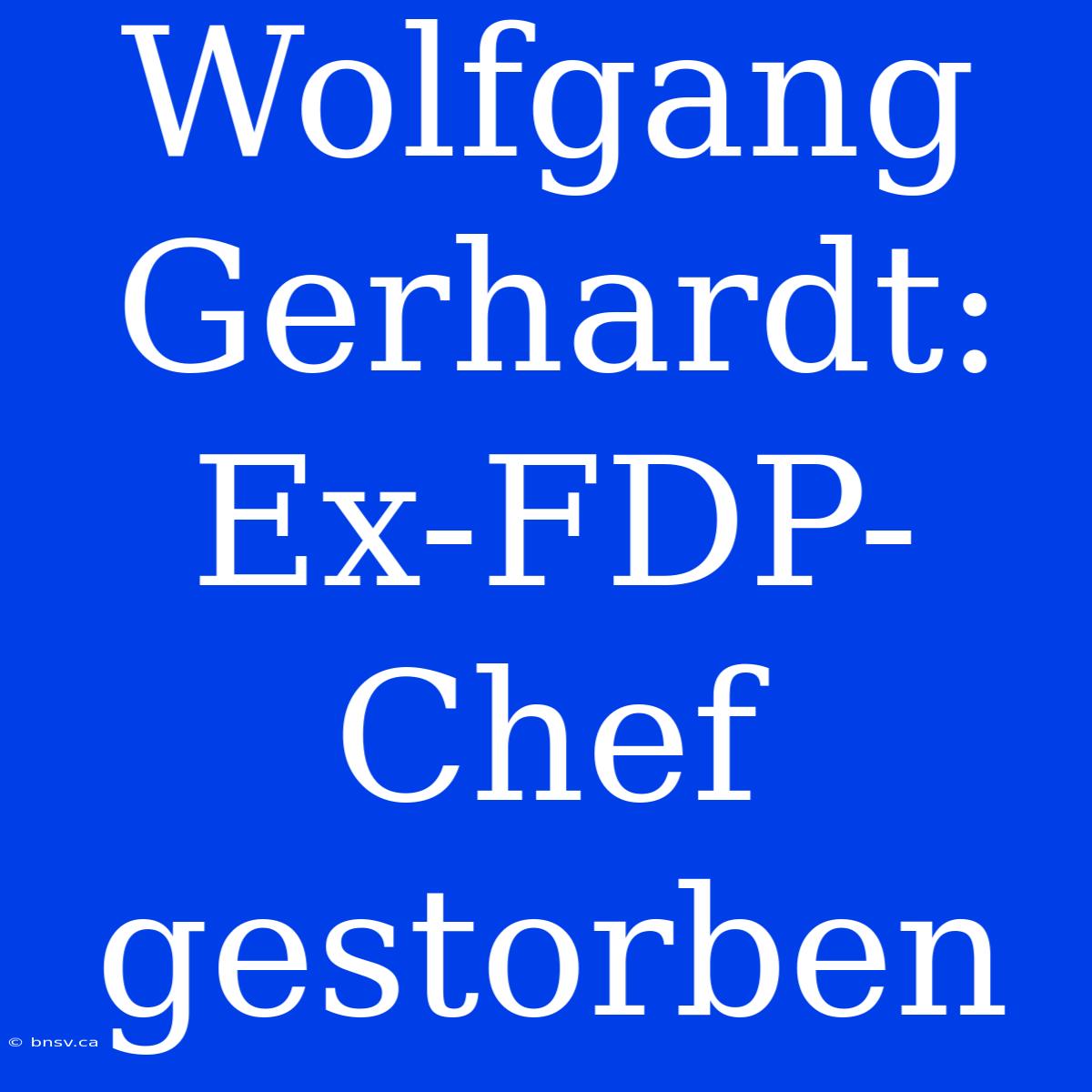 Wolfgang Gerhardt: Ex-FDP-Chef Gestorben