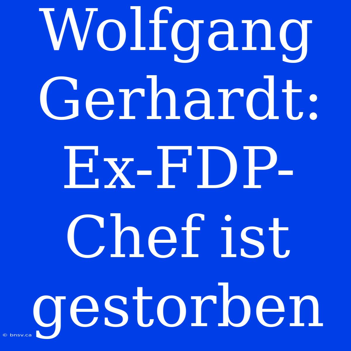 Wolfgang Gerhardt: Ex-FDP-Chef Ist Gestorben