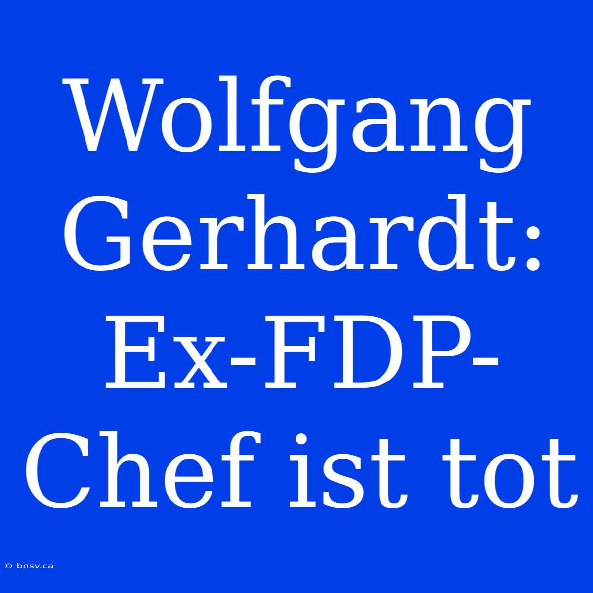 Wolfgang Gerhardt: Ex-FDP-Chef Ist Tot