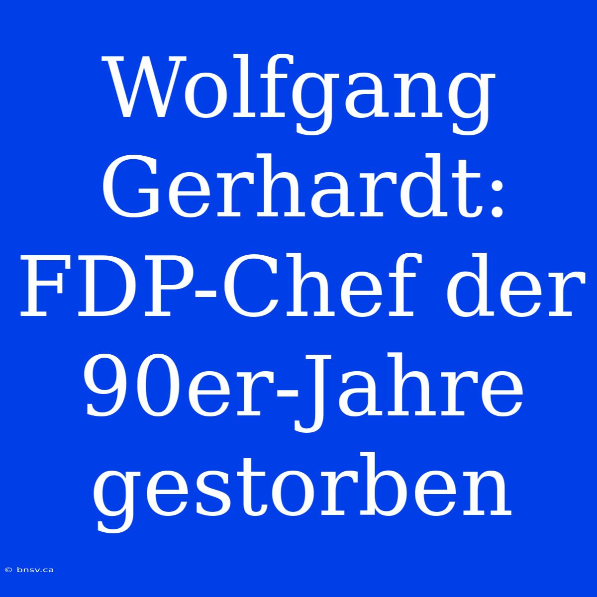 Wolfgang Gerhardt: FDP-Chef Der 90er-Jahre Gestorben