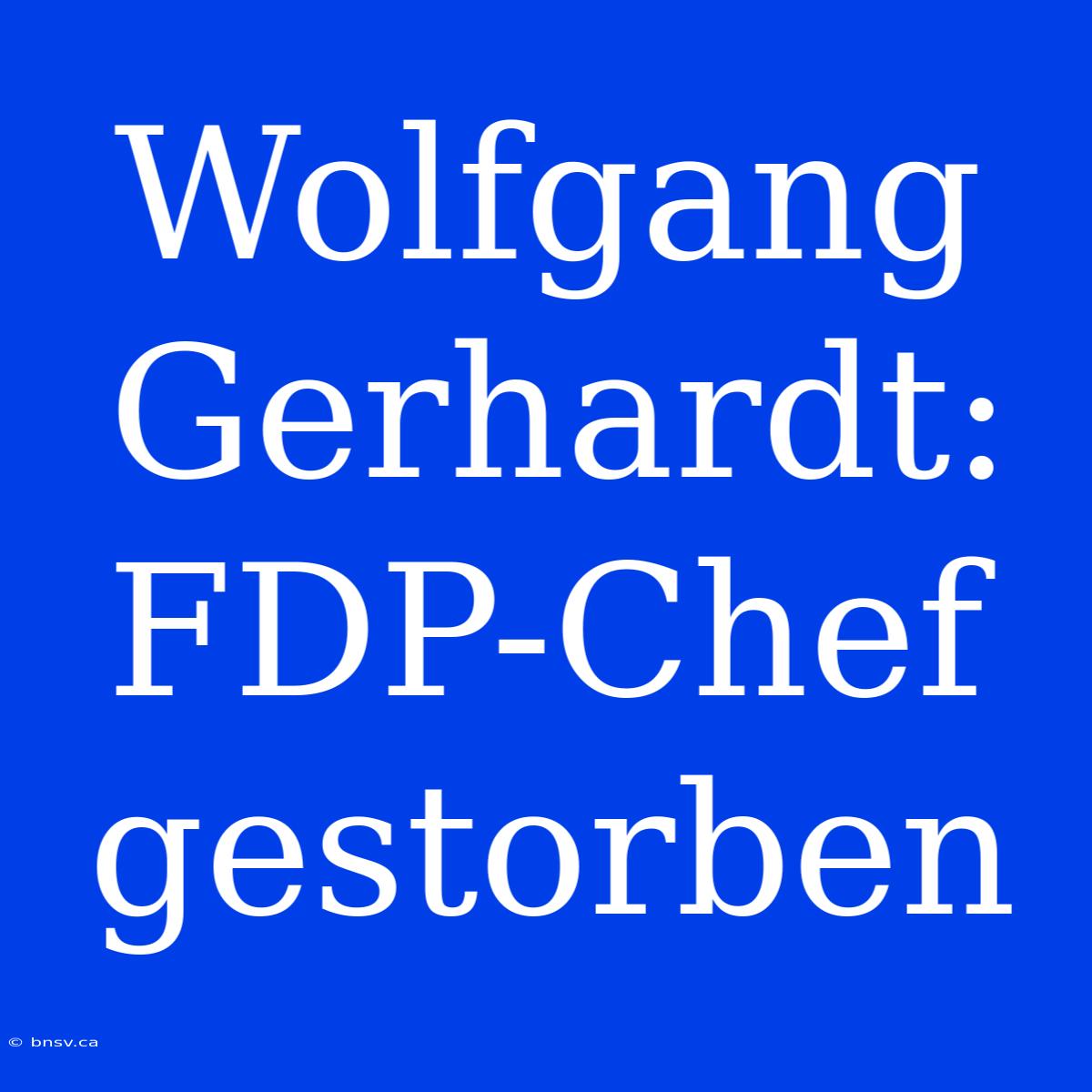 Wolfgang Gerhardt: FDP-Chef Gestorben