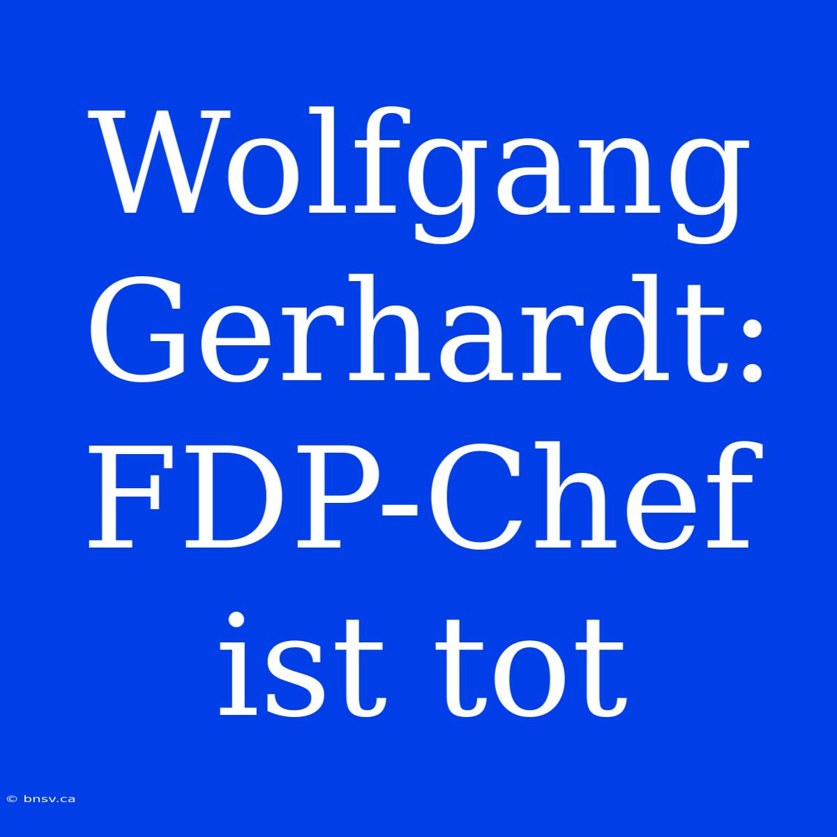 Wolfgang Gerhardt: FDP-Chef Ist Tot