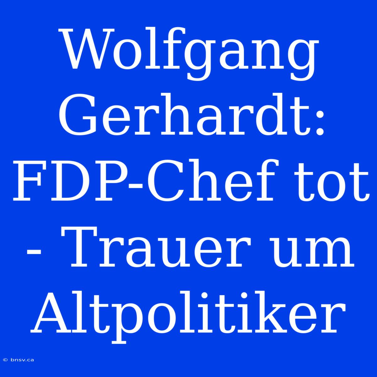 Wolfgang Gerhardt: FDP-Chef Tot - Trauer Um Altpolitiker