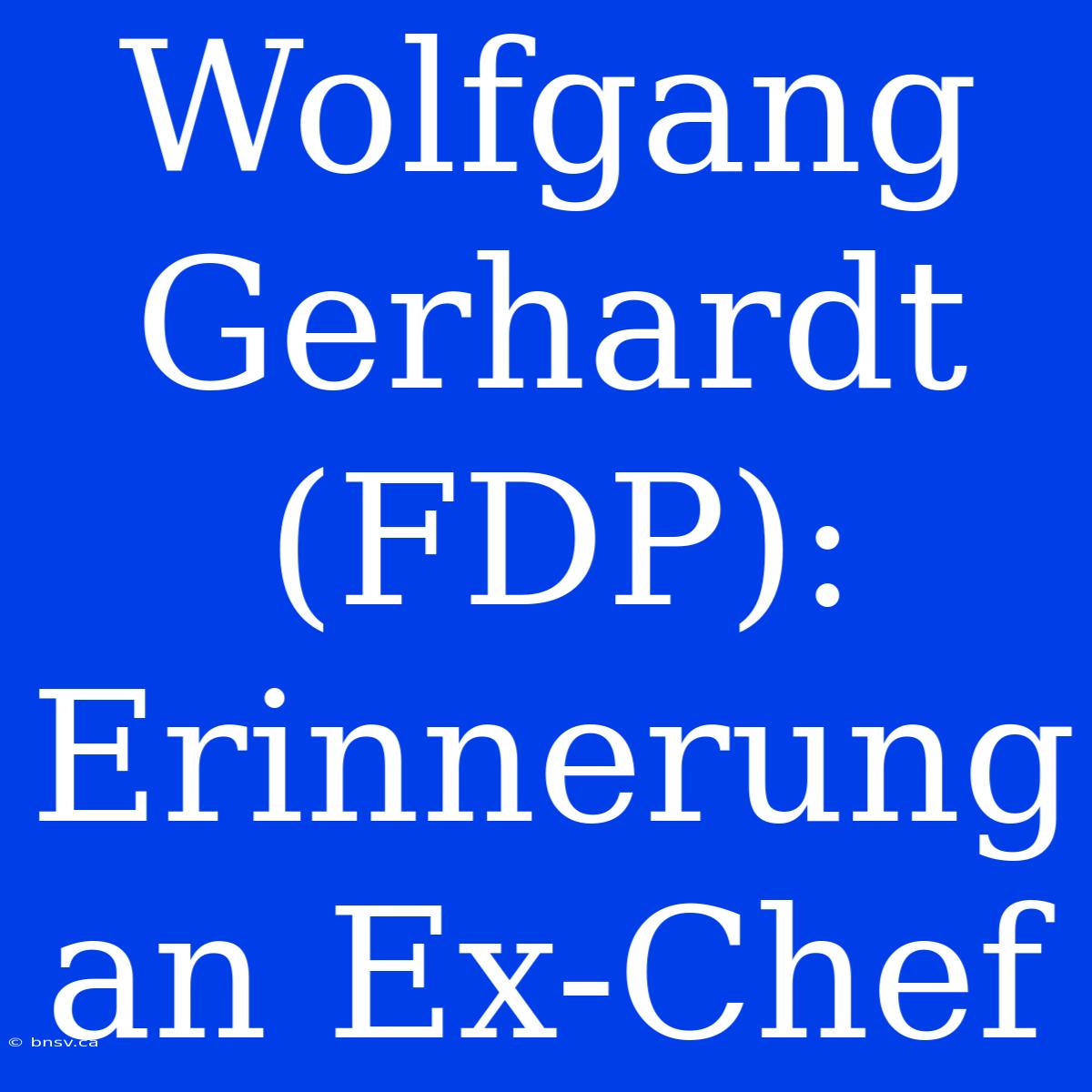 Wolfgang Gerhardt (FDP): Erinnerung An Ex-Chef