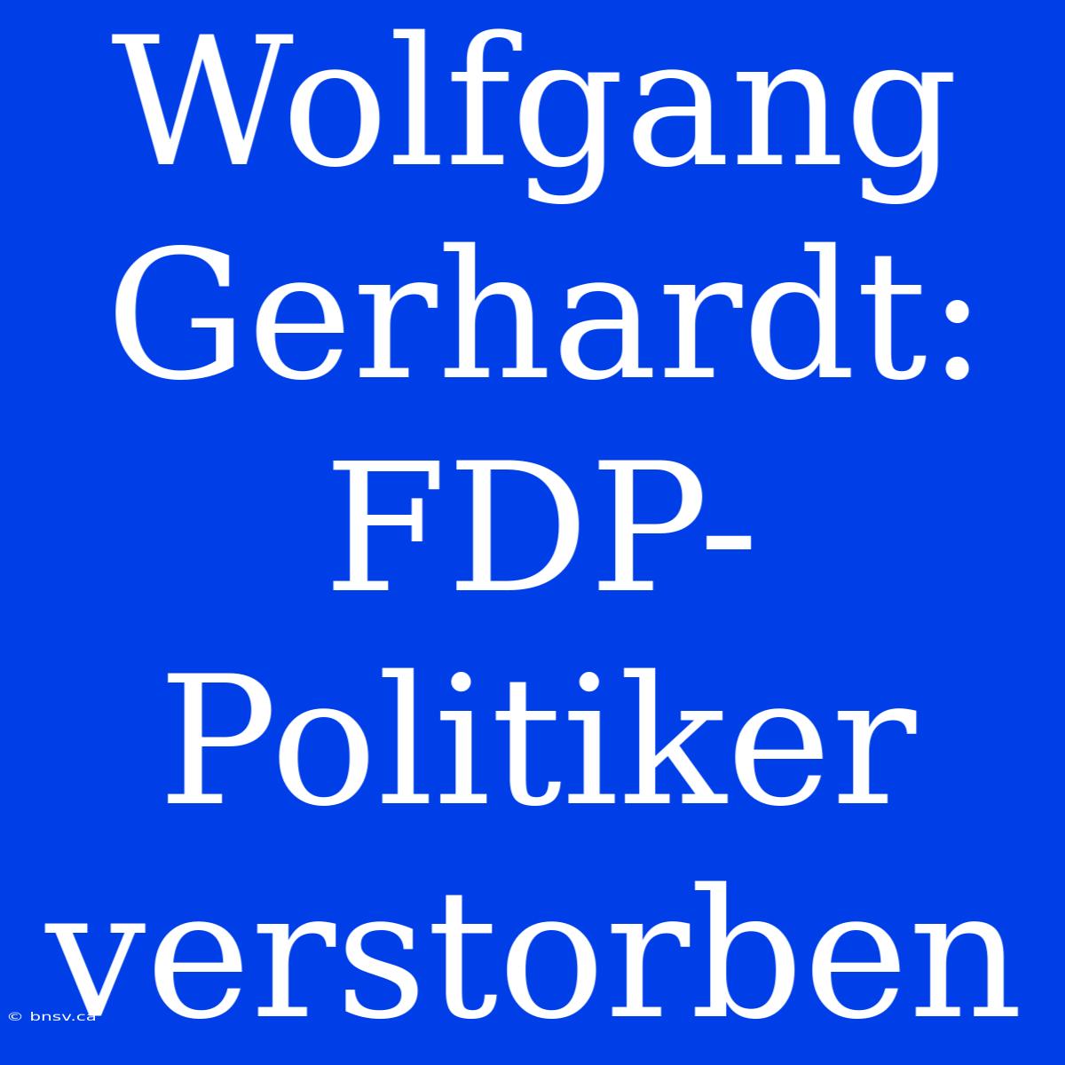 Wolfgang Gerhardt: FDP-Politiker Verstorben