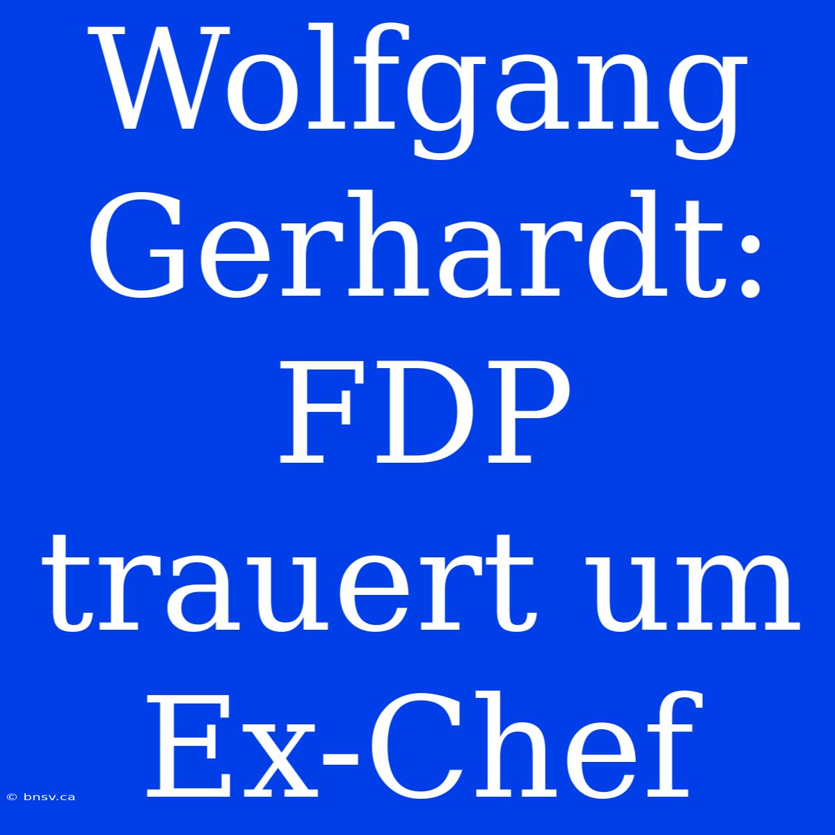 Wolfgang Gerhardt: FDP Trauert Um Ex-Chef