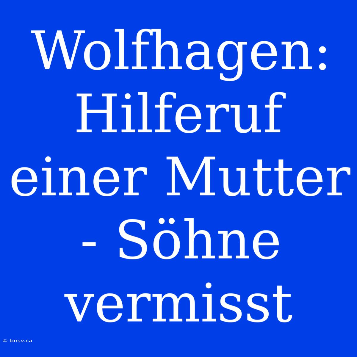 Wolfhagen: Hilferuf Einer Mutter - Söhne Vermisst