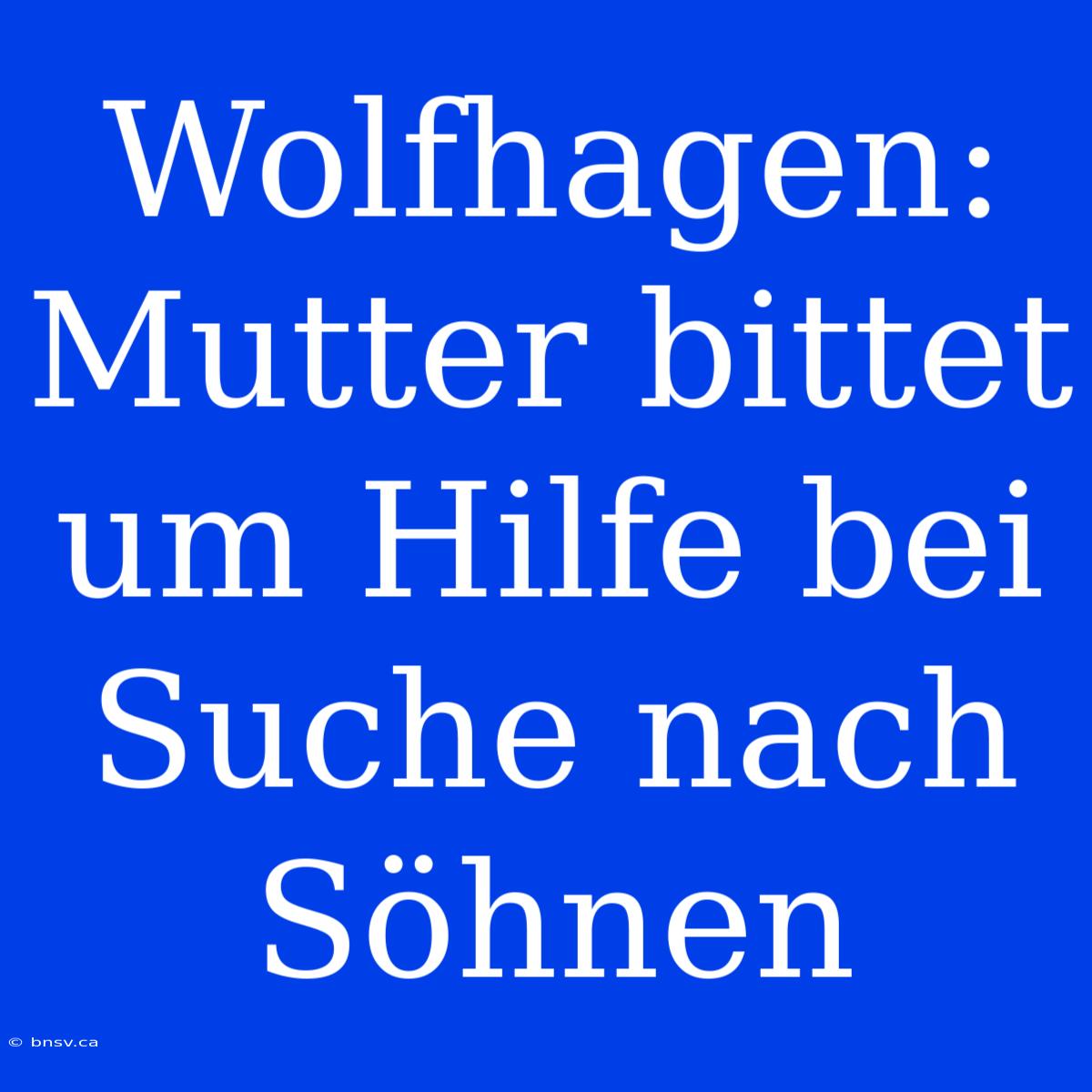 Wolfhagen: Mutter Bittet Um Hilfe Bei Suche Nach Söhnen