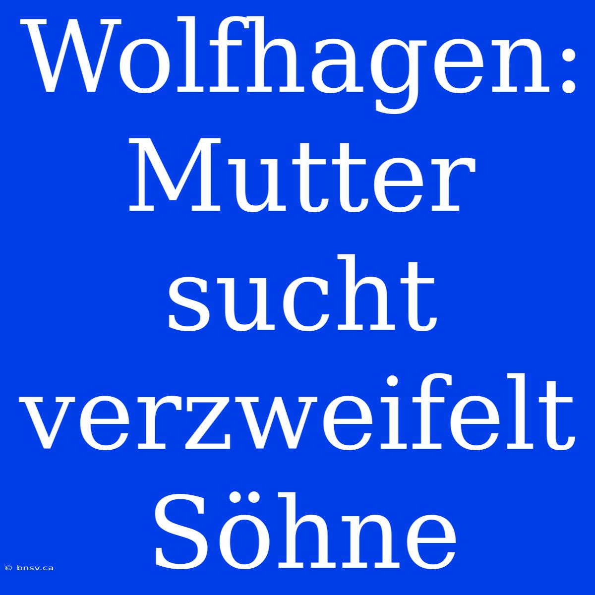 Wolfhagen: Mutter Sucht Verzweifelt Söhne