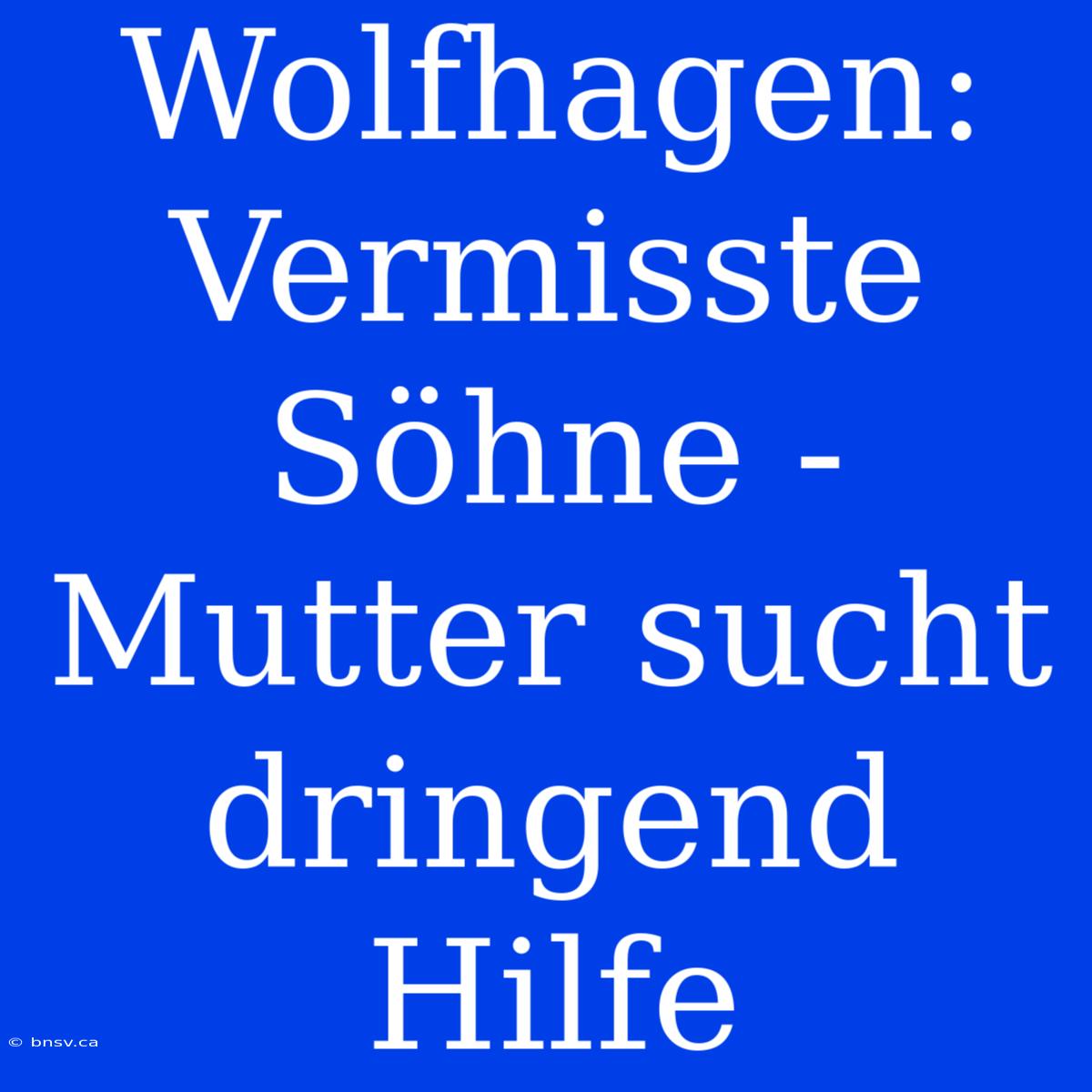 Wolfhagen: Vermisste Söhne - Mutter Sucht Dringend Hilfe