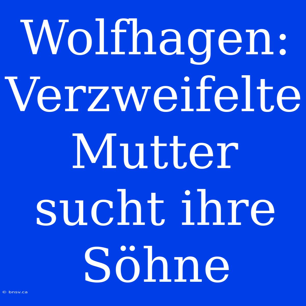 Wolfhagen: Verzweifelte Mutter Sucht Ihre Söhne