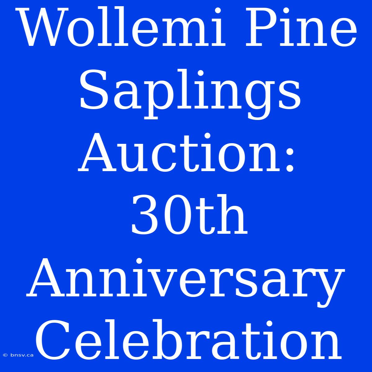 Wollemi Pine Saplings Auction: 30th Anniversary Celebration