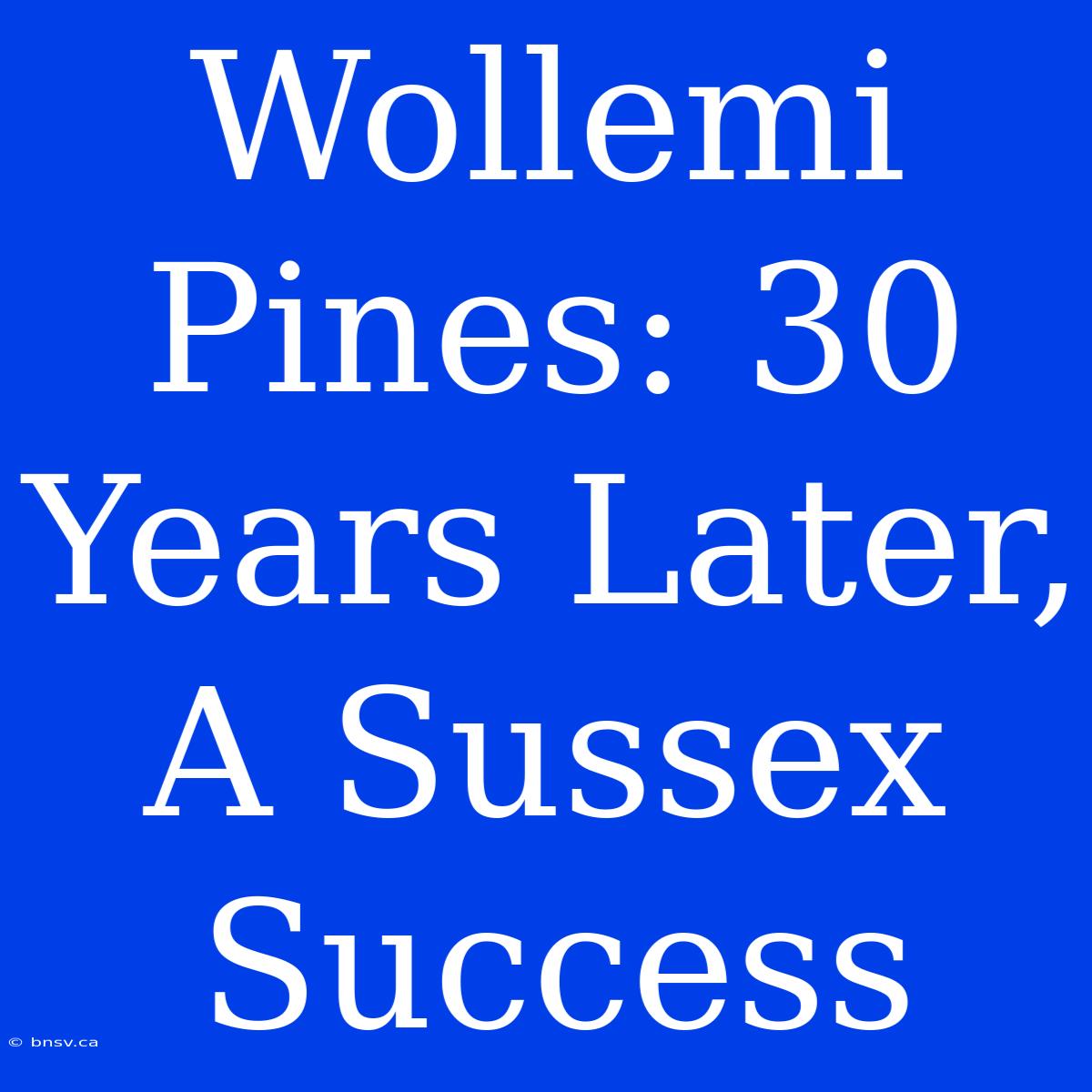 Wollemi Pines: 30 Years Later, A Sussex Success