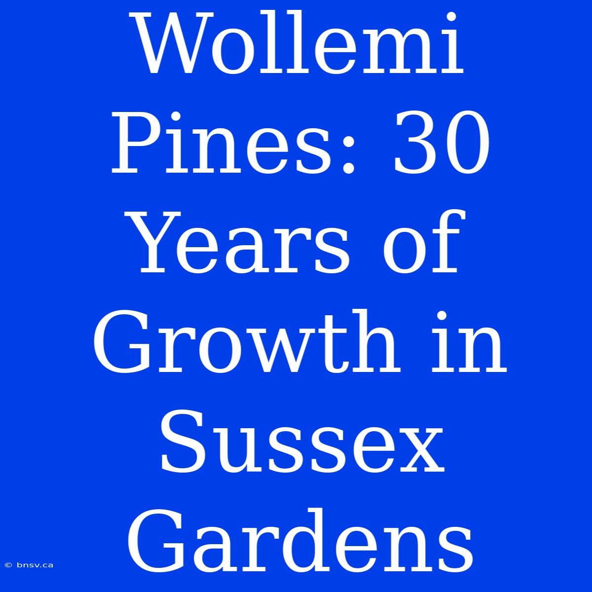 Wollemi Pines: 30 Years Of Growth In Sussex Gardens