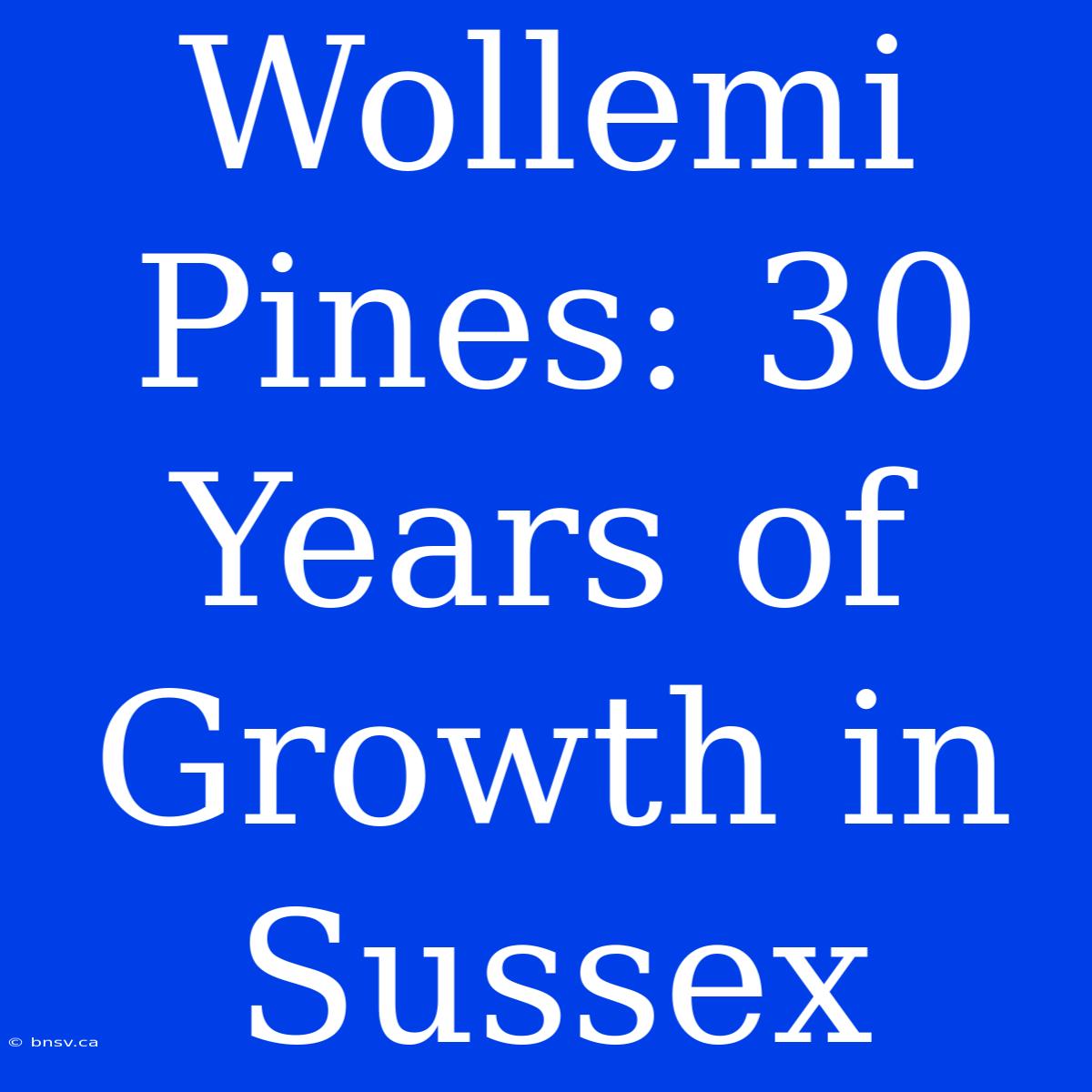 Wollemi Pines: 30 Years Of Growth In Sussex