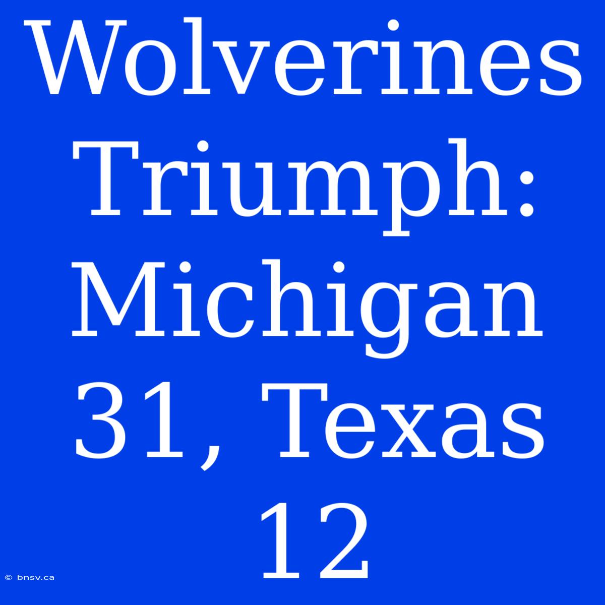 Wolverines Triumph: Michigan 31, Texas 12