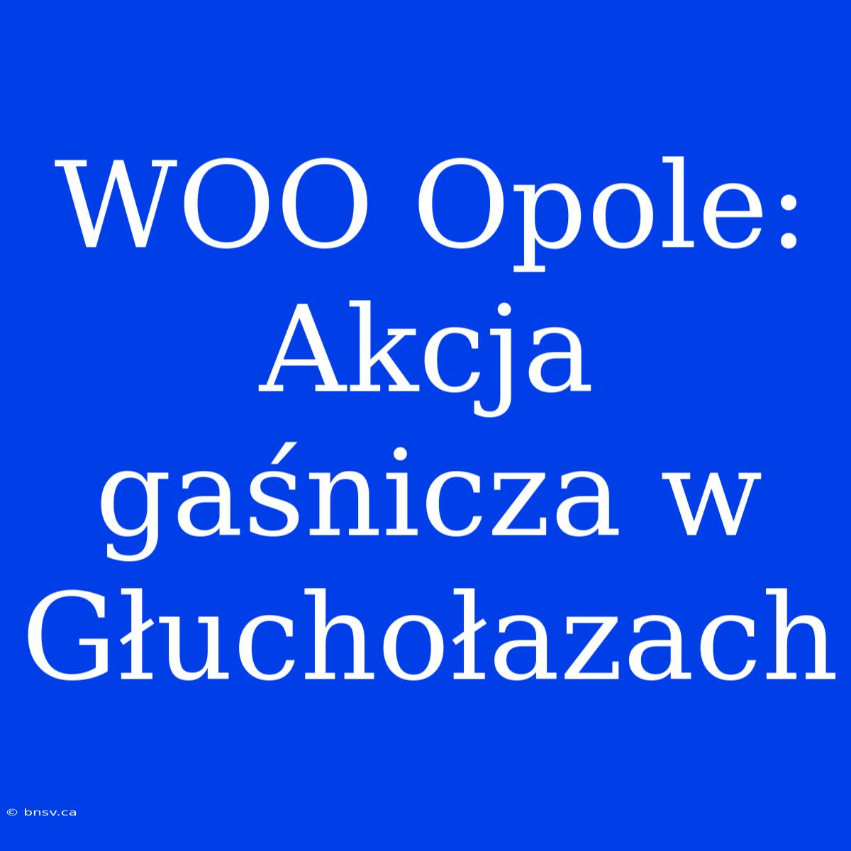 WOO Opole: Akcja Gaśnicza W Głuchołazach