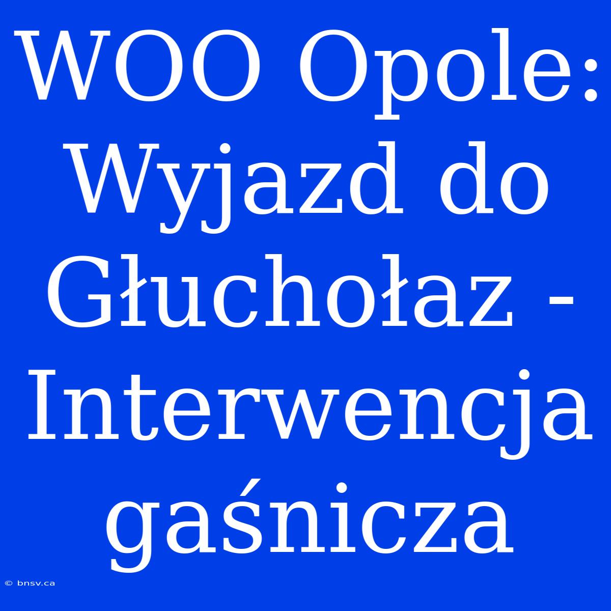 WOO Opole: Wyjazd Do Głuchołaz - Interwencja Gaśnicza