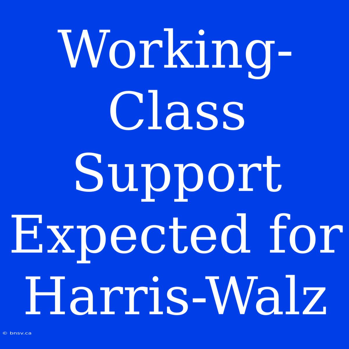 Working-Class Support Expected For Harris-Walz