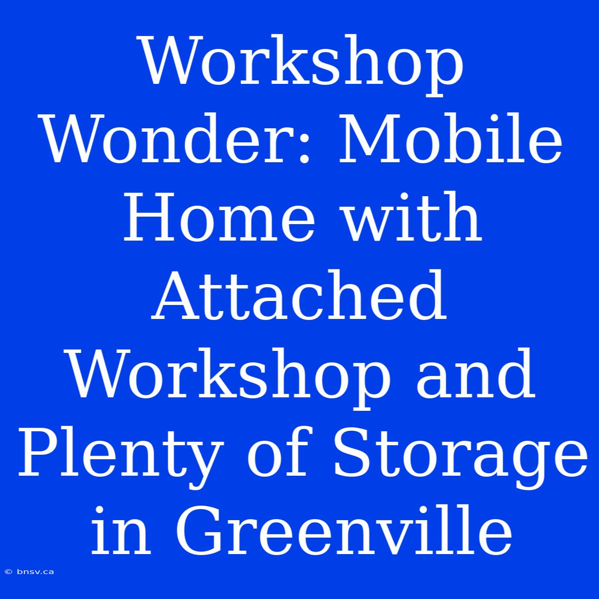 Workshop Wonder: Mobile Home With Attached Workshop And Plenty Of Storage In Greenville