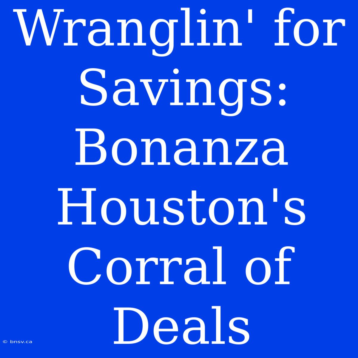 Wranglin' For Savings: Bonanza Houston's Corral Of Deals